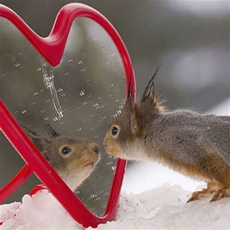 Image result for Smart Computing Question