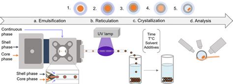 Image result for Crystallization Process