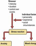 Image result for 应激 stress reaction
