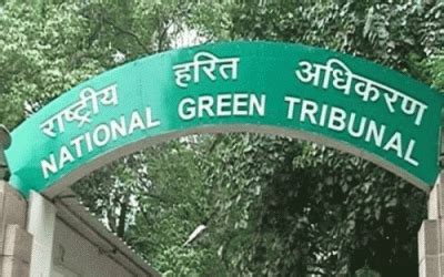 NGT issues show cause notice to Odisha CS for delay in issuing elephant ...