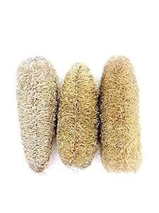 Buy Navya Agriallied Natural Body Scrubber, Loufah Sponges, Loofah ...