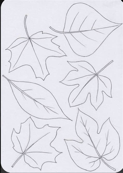 Image result for Paper Leaf