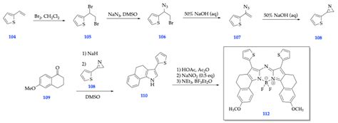 Delving into the Inception of BODIPY Dyes: Paradigms of In Vivo ...