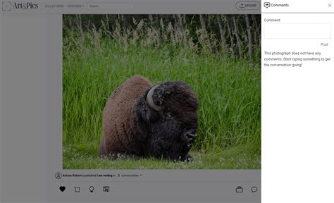 Image result for Comment Feature