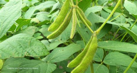 Data Driven Agriculture::Agriplaza