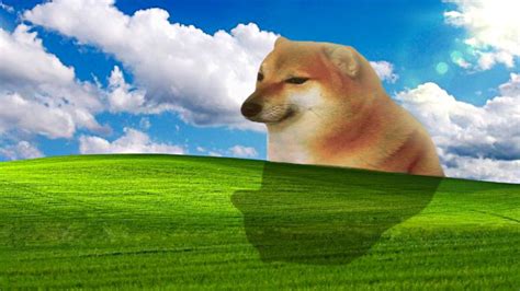 Rezultat imagine pentru XD Computer