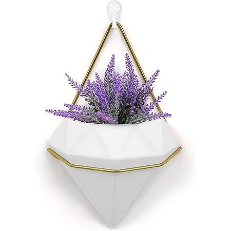 AmazonBasics Wall Planter, Round - White/Brass : Amazon.in: Garden ...