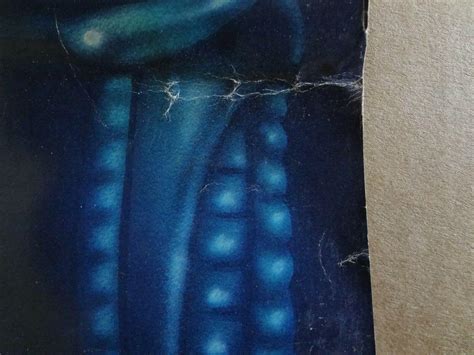 Alien 1980 VHS 的图像结果