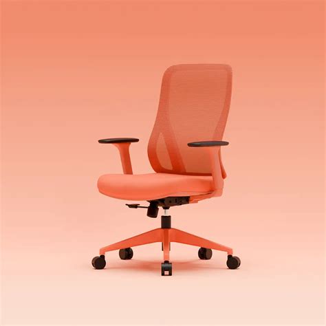 SuperErgo The Novice | Premium Ergonomic Office Chair | SuperErgo