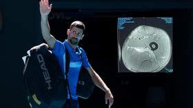 'Experts Out There': Novak Djokovic Hits Back At Doubters By Posting ...