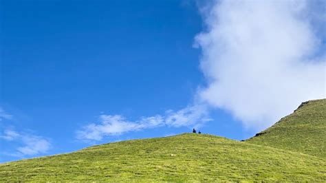 Ali & bedni bugyal trek | Wildvoyages
