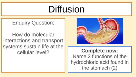 Image result for Diffusion GCSE Science