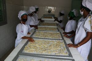 Programme Energies Durables (P.E.D.) - Album Photos - energypedia