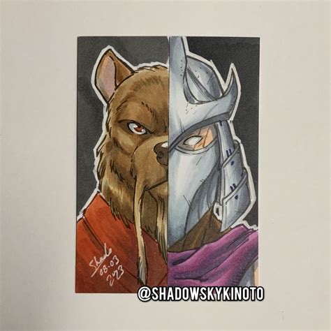 Image result for TMNT Splinter Vs Shredder