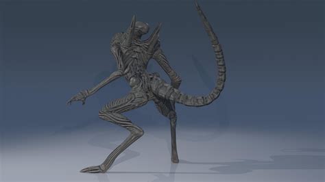 Alien Xenomorph 3D Model 的图像结果
