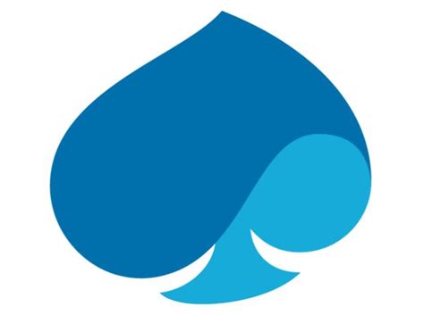 Capgemini 的图像结果