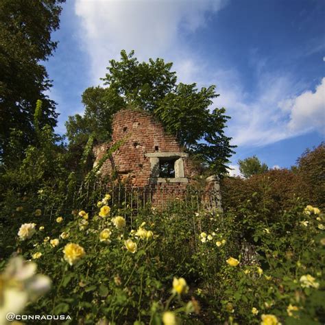 Blue, Sky, Flowers, ruins, beautiful, day, yellow | House styles ...
