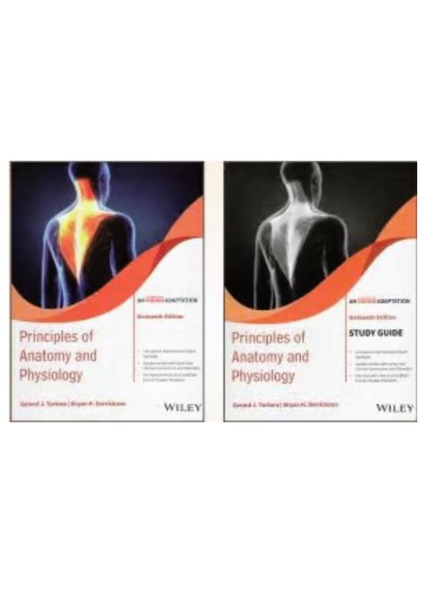 Principles Of Anatomy Tortora Principles Of Anatomy And Physiology In