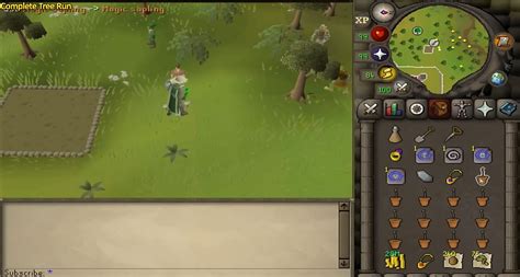 Image result for OSRS Tree Farming Locations