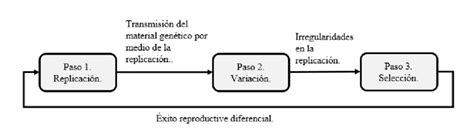 Image result for Python Evolutionary Algorithm