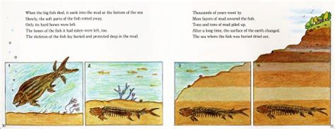 dinosaur « paleoaerie