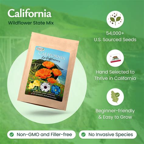 Wildflower Seeds and Mixes | Created By Nature