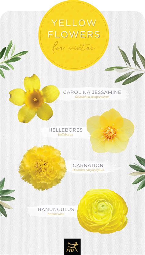 30 Types of Yellow Flowers - FTD.com