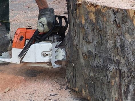 Image result for Small Engine Break In