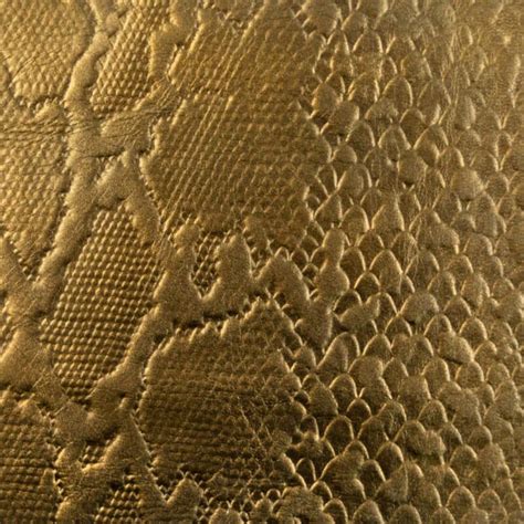 Conditioning Python Leather 的图像结果