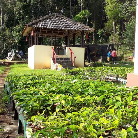 COORG RIVER VALLEY HOMESTAY (Madapura) - Guesthouse Reviews & Photos ...