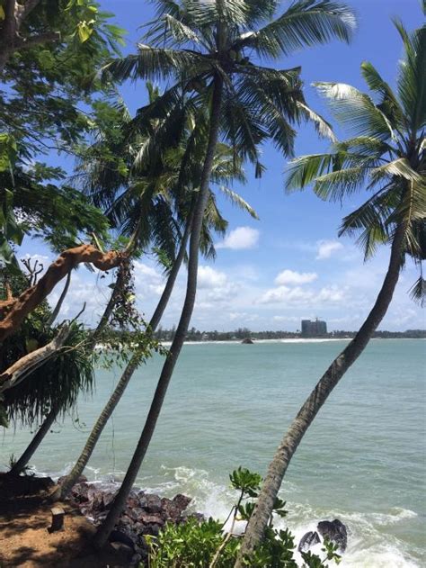 TAPROBANE ISLAND (Weligama) - Guesthouse Reviews & Photos - Tripadvisor