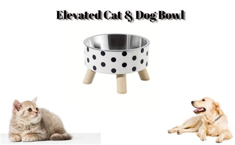 waqif Cat Bowl Elevated, Raised Cat Food Bowl, Tilted Cat Dish for Food ...