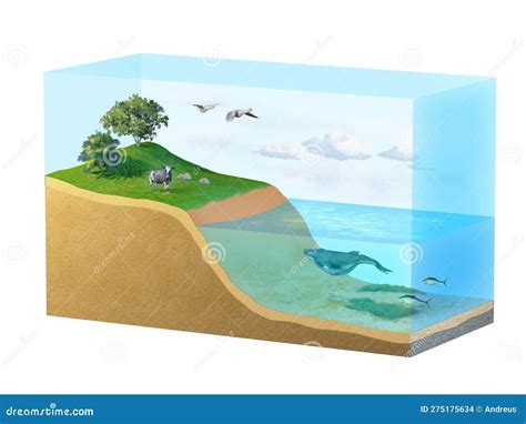 Biosphere diagram stock illustration. Illustration of geology - 275175634
