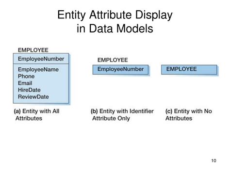 Image result for Entity Model Features Meaning Guide