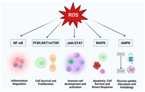 ROS Chronicles in HIV Infection: Genesis of Oxidative Stress ...