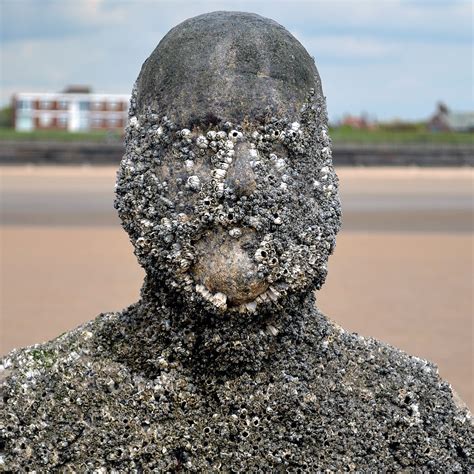 Barnacle Man | 17/05/2012, Another Place, Crosby. | Steve Glover | Flickr
