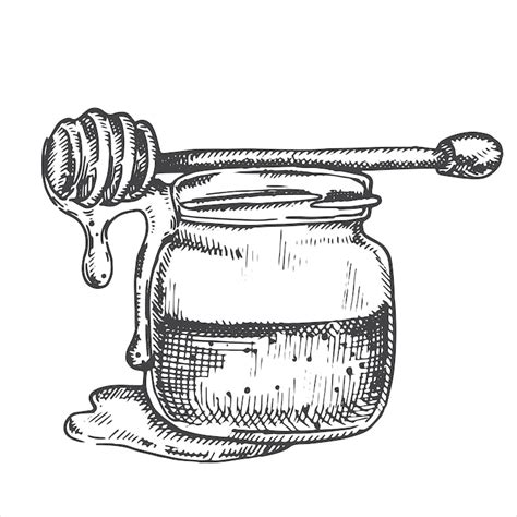 Dessin vectoriel dans un pot de miel de style vintage avec des nids d ...