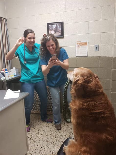 Karns Animal Clinic - Knoxville, TN