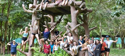 Freiwilligenarbeit im Elefanten Tierschutz in Thailand