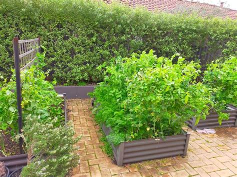 Image result for How to Remove T-Post