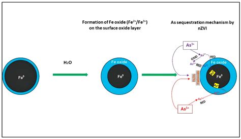 Assessment of Zerovalent Iron Nanoparticle (nZVI) Efficiency for ...