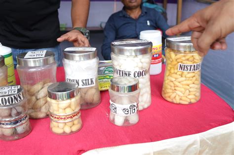 Seri Activities of Seed Rearers under TSC Bethua Dohari, Nadia ...