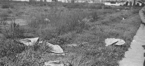 The Mysterious Case of the Black Dahlia
