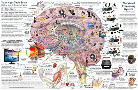 Visual Processing Examples 的图像结果