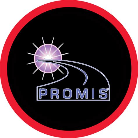 Image result for Promis Comp