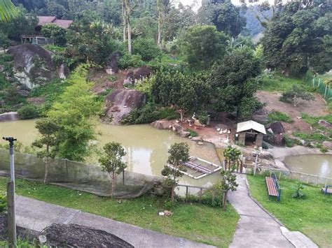 SONG YAN (Bentong) - Cottage Reviews & Photos - Tripadvisor