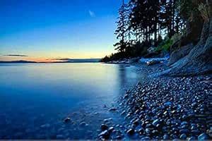 British Terminal® Beautiful Nature Waterproof Vinyl Sticker Poster ...