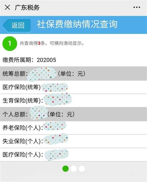 广东省电子税务局怎么查看开过的发票信息 广东税务app查询发票教程