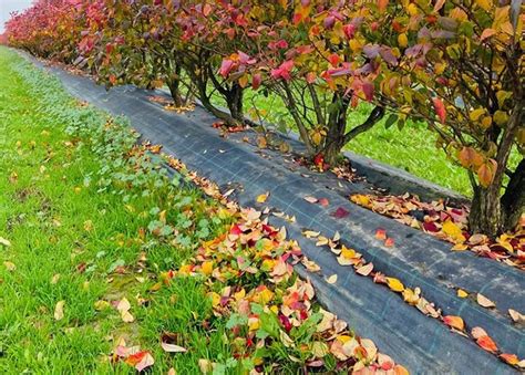 Centenary Geotex Pvt. Ltd