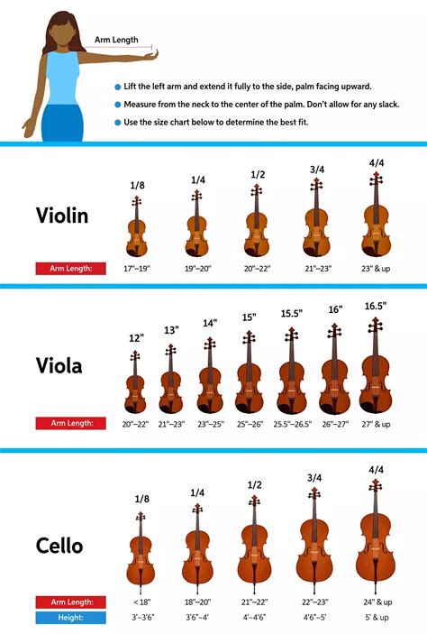 String Instruments List With Names